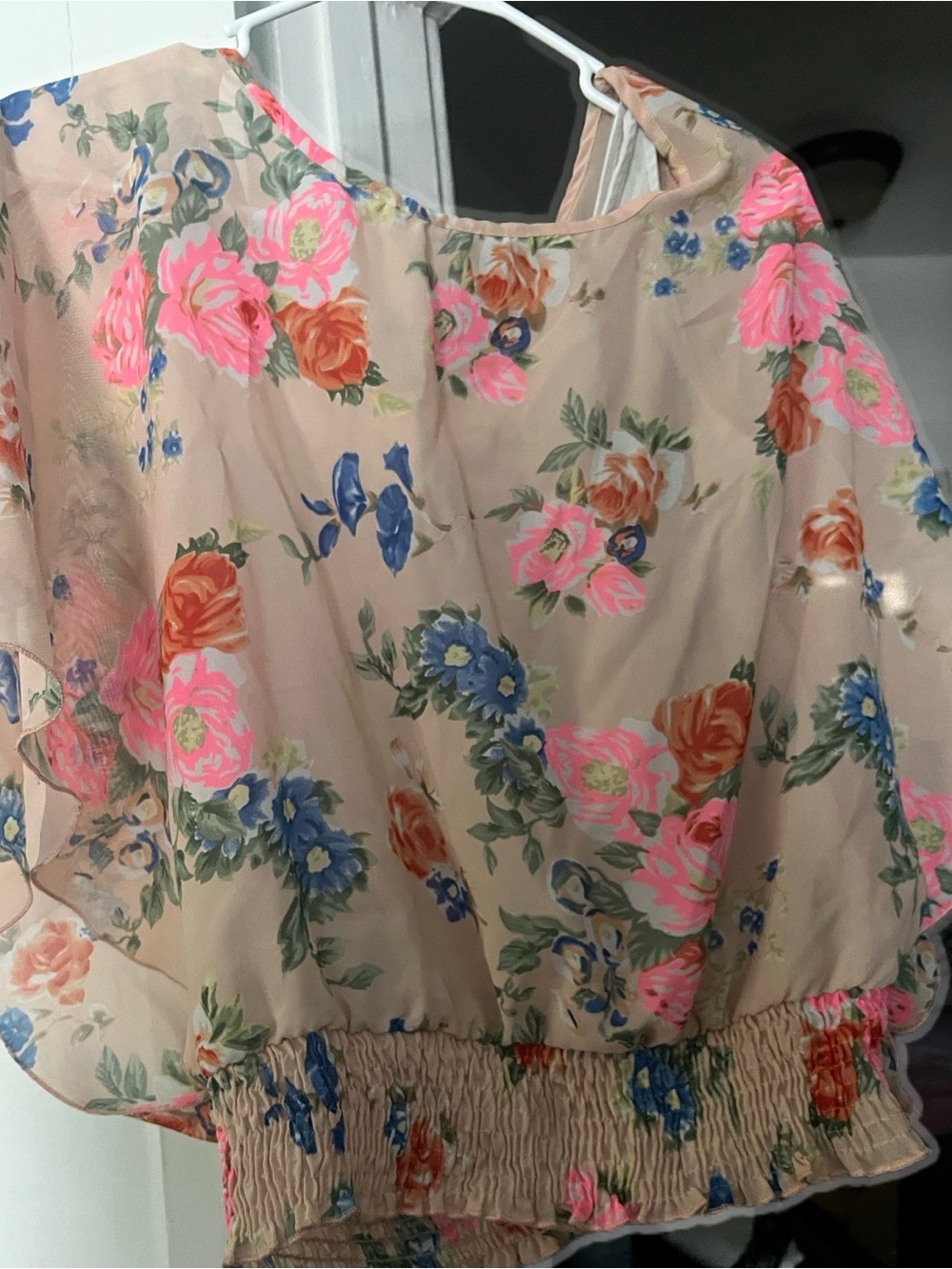 🌹4/30 Floral Sheer Blouse in Blush with Pink & Blue Roses